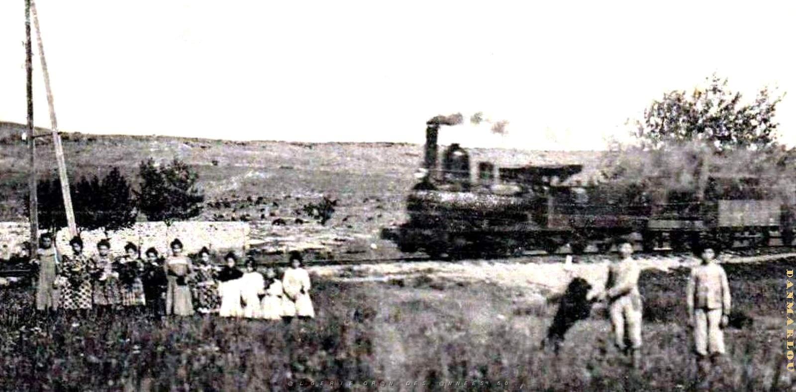 2612- Ain-El-Hadjar - Source et Train2.jpg